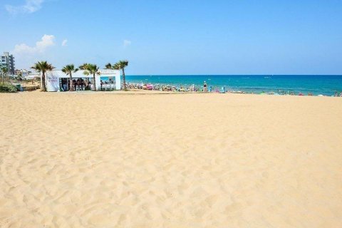 Huoneisto myytävänä Torrevieja, Alicante, Espanja, 2 makuuhuonetta, 50 m2 No. 163015 - kuva 9