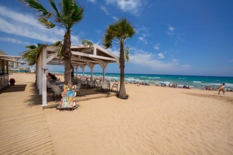 Huoneisto myytävänä Torrevieja, Alicante, Espanja, 2 makuuhuonetta, 50 m2 No. 163015 - kuva 10