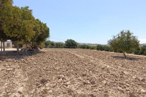 Finca till salu i Rojales, Alicante, Spanien 3 sovrum, 120 kvm. Nr. 144409 - foto 26
