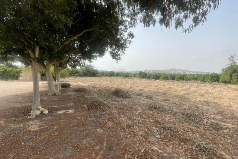 Finca till salu i Rojales, Alicante, Spanien 3 sovrum, 120 kvm. Nr. 144409 - foto 25