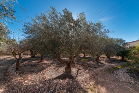 Finca till salu i Albatera, Alicante, Spanien 3 sovrum, 167 kvm. Nr. 144406 - foto 20