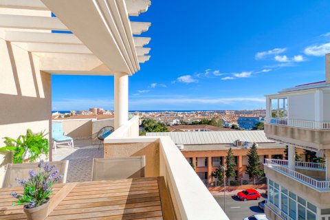 Lägenhet till salu i Torrevieja, Alicante, Spanien 3 sovrum, 82 kvm. Nr. 144405 - foto 26