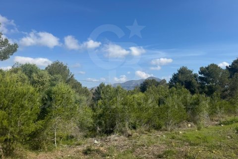 Tontti myytävänä Javea, Alicante, Espanja , 1500 m2 No. 156727 - kuva 8