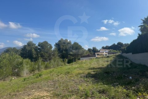 Tontti myytävänä Javea, Alicante, Espanja , 1500 m2 No. 156727 - kuva 4