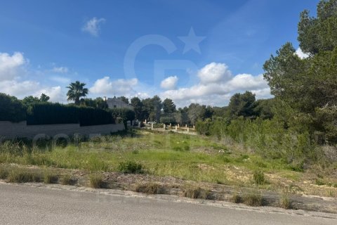 Tontti myytävänä Javea, Alicante, Espanja , 1500 m2 No. 156727 - kuva 3