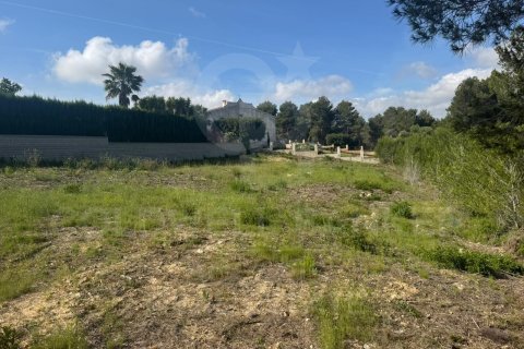 Tontti myytävänä Javea, Alicante, Espanja , 1500 m2 No. 156727 - kuva 5