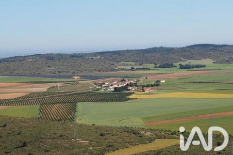 Commercial property à vendre à Velada, Toledo, Espagne, 1800 m2 No. 188227 - photo 6