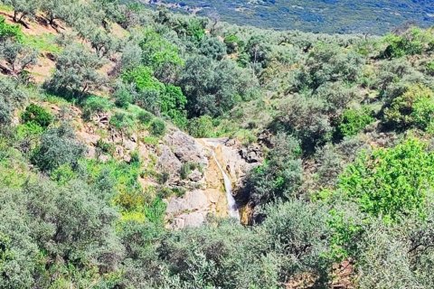 Terreno in vendita a Colmenar, Malaga, Spagna 23449 mq. N° 184904 - foto 25