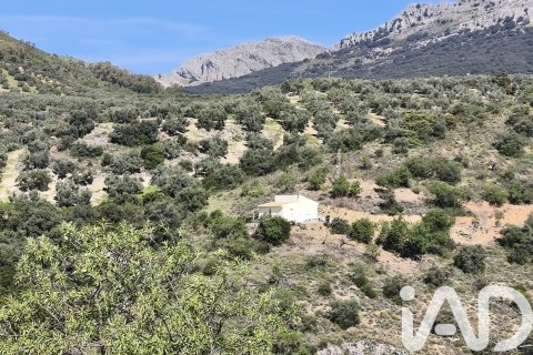 Terreno in vendita a Colmenar, Malaga, Spagna 23449 mq. N° 184904 - foto 22