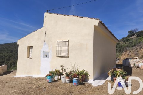 Terreno a Colmenar, Malaga, Spagna 23449 mq. N° 184904