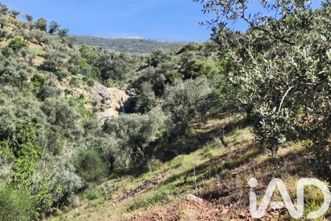 Terreno in vendita a Colmenar, Malaga, Spagna 23449 mq. N° 184904 - foto 21