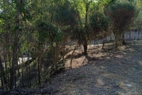 Parcela en venta en Castellar del Vallès, Barcelona, España 803 m2 No. 184902 - foto 4