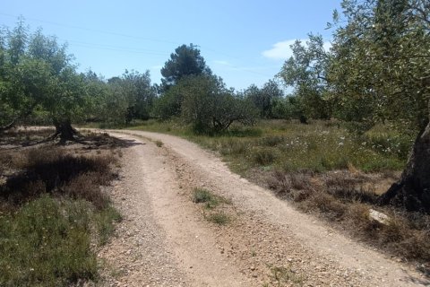 Terreno in vendita a L'Ametlla de Mar, Tarragona, Spagna 12172 mq. N° 184907 - foto 8