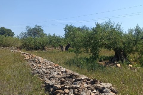 Terreno in vendita a L'Ametlla de Mar, Tarragona, Spagna 12172 mq. N° 184907 - foto 11