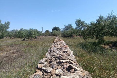 Terreno in vendita a L'Ametlla de Mar, Tarragona, Spagna 12172 mq. N° 184907 - foto 10