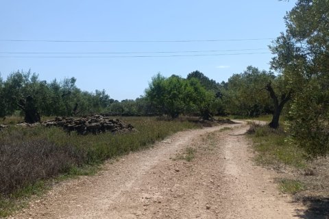 Terreno in vendita a L'Ametlla de Mar, Tarragona, Spagna 12172 mq. N° 184907 - foto 9