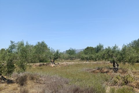 Terreno in vendita a L'Ametlla de Mar, Tarragona, Spagna 12172 mq. N° 184907 - foto 3