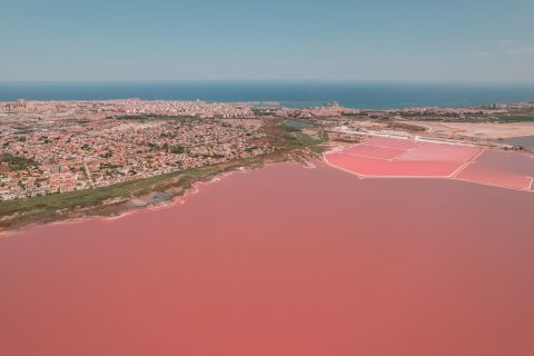 Lägenhet till salu i Torrevieja, Alicante, Spanien 3 sovrum, 94 kvm. Nr. 164950 - foto 2