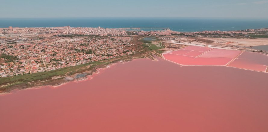 Huoneisto Torrevieja, Alicante, Espanja 3 makuuhuonetta, 84 m2 No. 164951
