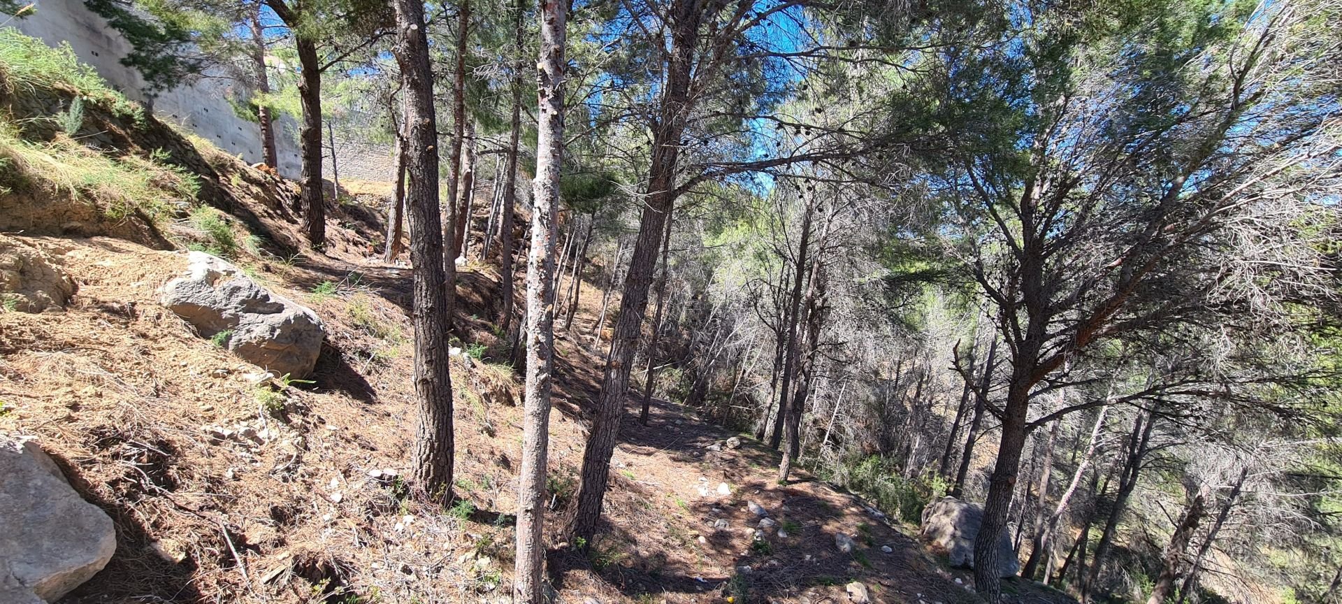 Terreno a Calpe, Alicante, Spagna N° 95721