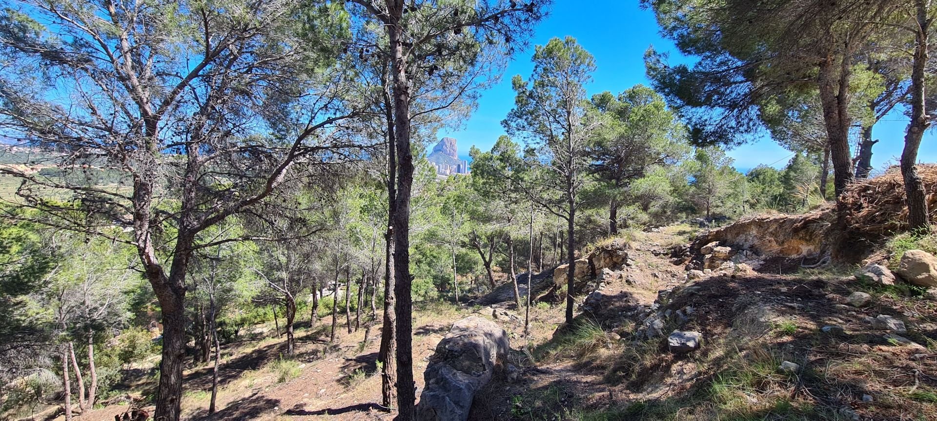 Terreno a Calpe, Alicante, Spagna N° 95721