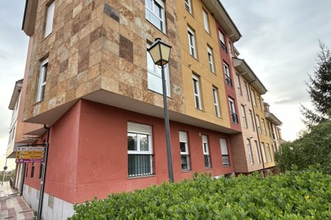 Продажа дуплекса в Вальверде де ла Вирхен, Леон, Испания 3 спальни, 118м2 №184762 - фото 30