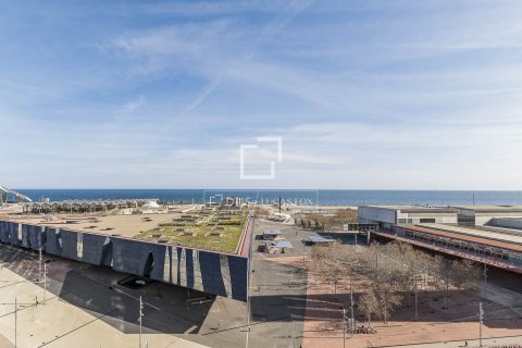 Apartment for sale in Barcelona, Spain 3 bedrooms, 194 sq.m. No. 164336 - photo 15