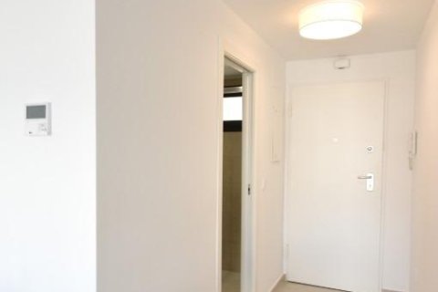 Appartamento in vendita a San Miguel de Salinas, Alicante, Spagna 2 camere da letto, 93 mq. N° 141890 - foto 13