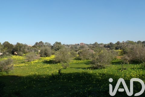 House zum Verkauf in Santanyi, Mallorca, Spanien 6 Schlafzimmer, 320 m2 Nr. 172264 - Foto 22