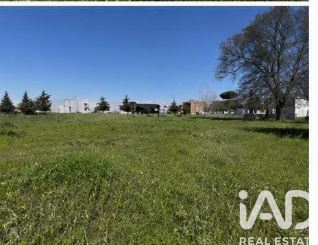 Tontti Grinon, Madrid, Espanja 560 m2 No. 172261