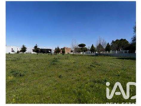 Tontti Grinon, Madrid, Espanja 560 m2 No. 172261