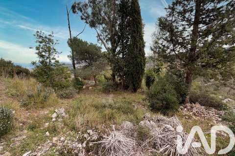 Tomt till salu i Olesa de Bonesvalls, Barcelona, Spanien 8547 kvm. Nr. 185216 - foto 7
