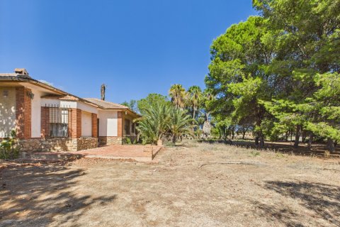 Parcela en venta en Los Alcázares, Murcia, España 3 dormitorios, No. 191812 - foto 9