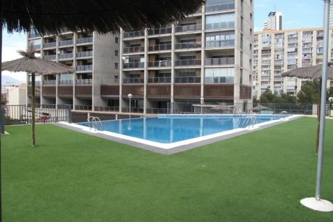 Apartment for sale in Benidorm, Alicante, Spain 2 bedrooms, 77 sq.m. No. 179699 - photo 12