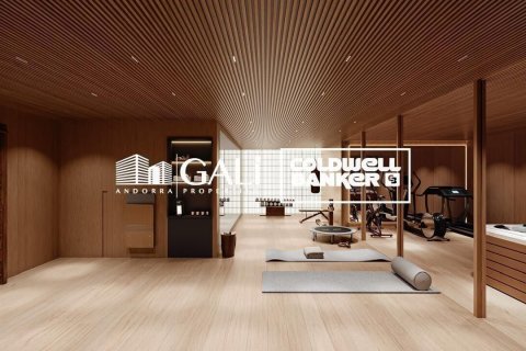 Villa in vendita a Principado De Andorra (Ninguna Poblacion Tiene C.P.), Lleida, Spagna 4 camere da letto, 682 mq. N° 157428 - foto 9