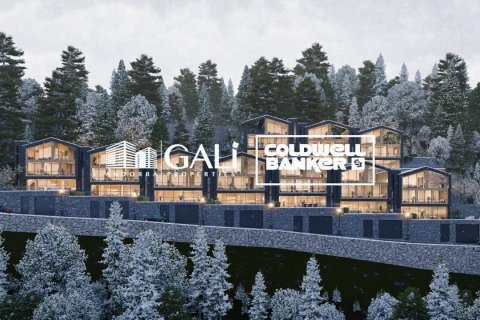 Villa in vendita a Principado De Andorra (Ninguna Poblacion Tiene C.P.), Lleida, Spagna 4 camere da letto, 682 mq. N° 157428 - foto 18