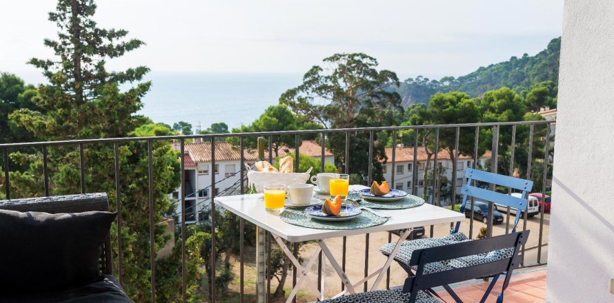 Apartment à Calella De Palafrugell, Girona, Espagne 1 chambre, No. 141067