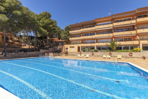 Apartment à vendre à Tamariu, Girona, Espagne, 2 chambres, No. 141069 - photo 23