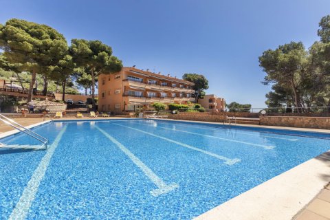 Apartment à vendre à Tamariu, Girona, Espagne, 2 chambres, No. 141069 - photo 27