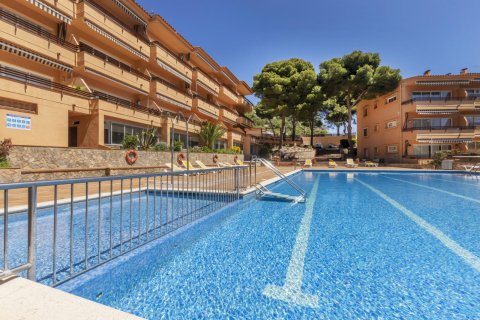 Apartment à vendre à Tamariu, Girona, Espagne, 2 chambres, No. 141069 - photo 26
