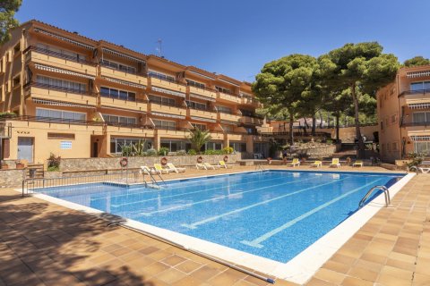 Apartment à vendre à Tamariu, Girona, Espagne, 2 chambres, No. 141069 - photo 29