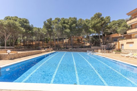 Apartment à vendre à Tamariu, Girona, Espagne, 2 chambres, No. 141069 - photo 21