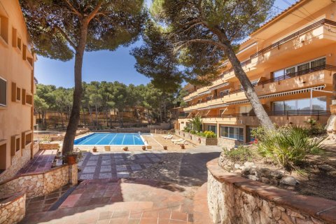 Apartment à vendre à Tamariu, Girona, Espagne, 2 chambres, No. 141069 - photo 2