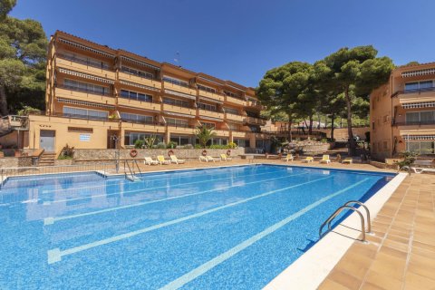 Apartment à vendre à Tamariu, Girona, Espagne, 2 chambres, No. 141069 - photo 24