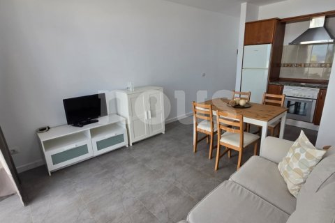 Продажа квартиры Торвискас, Тенерифе, Испания 1 спальня, 54м2 №133130 - фото 9
