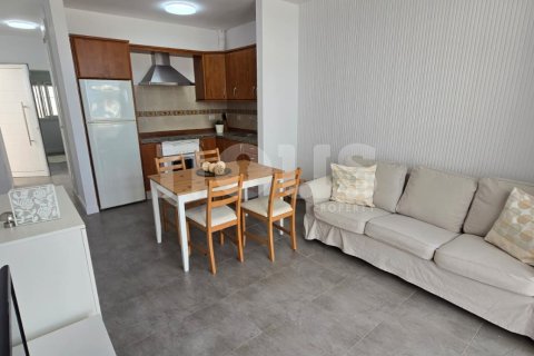 Продажа квартиры Торвискас, Тенерифе, Испания 1 спальня, 54м2 №133130 - фото 11