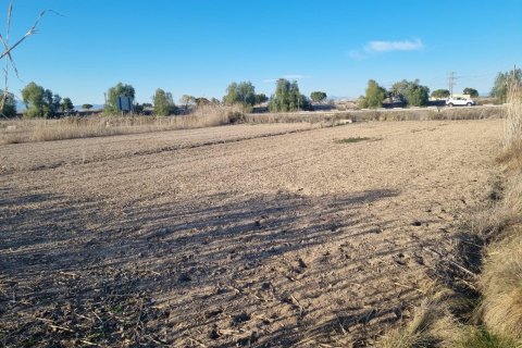 Terreno a Guardamar del Segura, Alicante, Spagna N° 183623