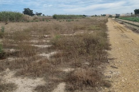 Terreno a San Fulgencio, Alicante, Spagna N° 183620