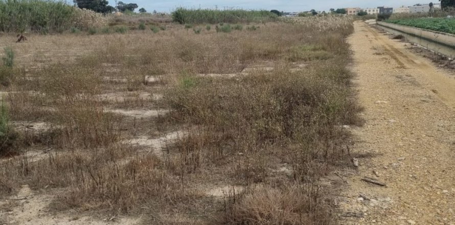 Land in San Fulgencio, Alicante, Spanien Nr. 183620