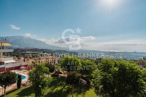 Kattohuoneisto myytävänä Benahavis, Malaga, Espanja, 4 makuuhuonetta, 253 m2 No. 157559 - kuva 25